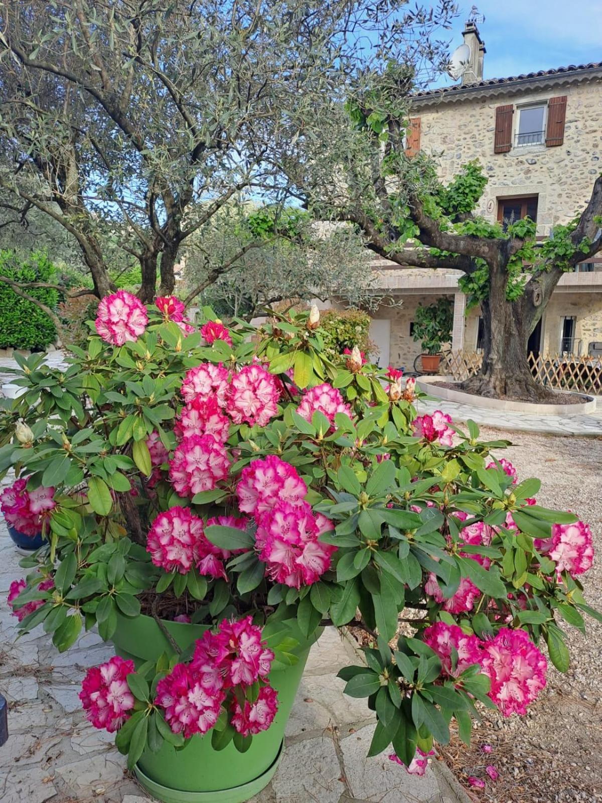 Gite 2 "Le Tilia " Aux Magnolias 3 Etoiles Aubenas Exterior foto
